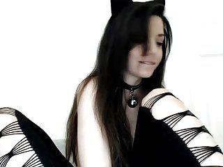 Süsse kitten spielt mit sich vor der Kamera